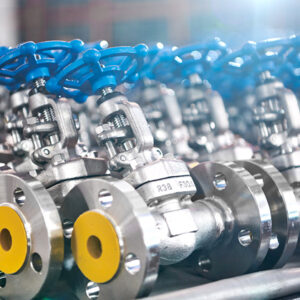 FLANGE END VALVES