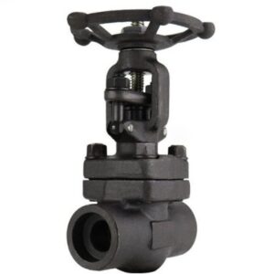 THREADED & SOCKED-WELDED VALVES